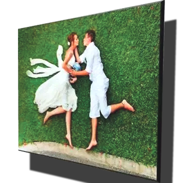 Floating Wall Plaque