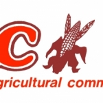logo123