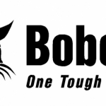 logo30