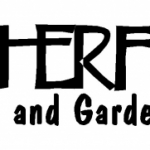 logo75