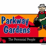 logo83