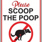 poop