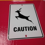 12346027_211691759163443_528826186_n