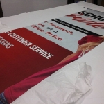 21820104_443616692698668_4924771907191963648_n